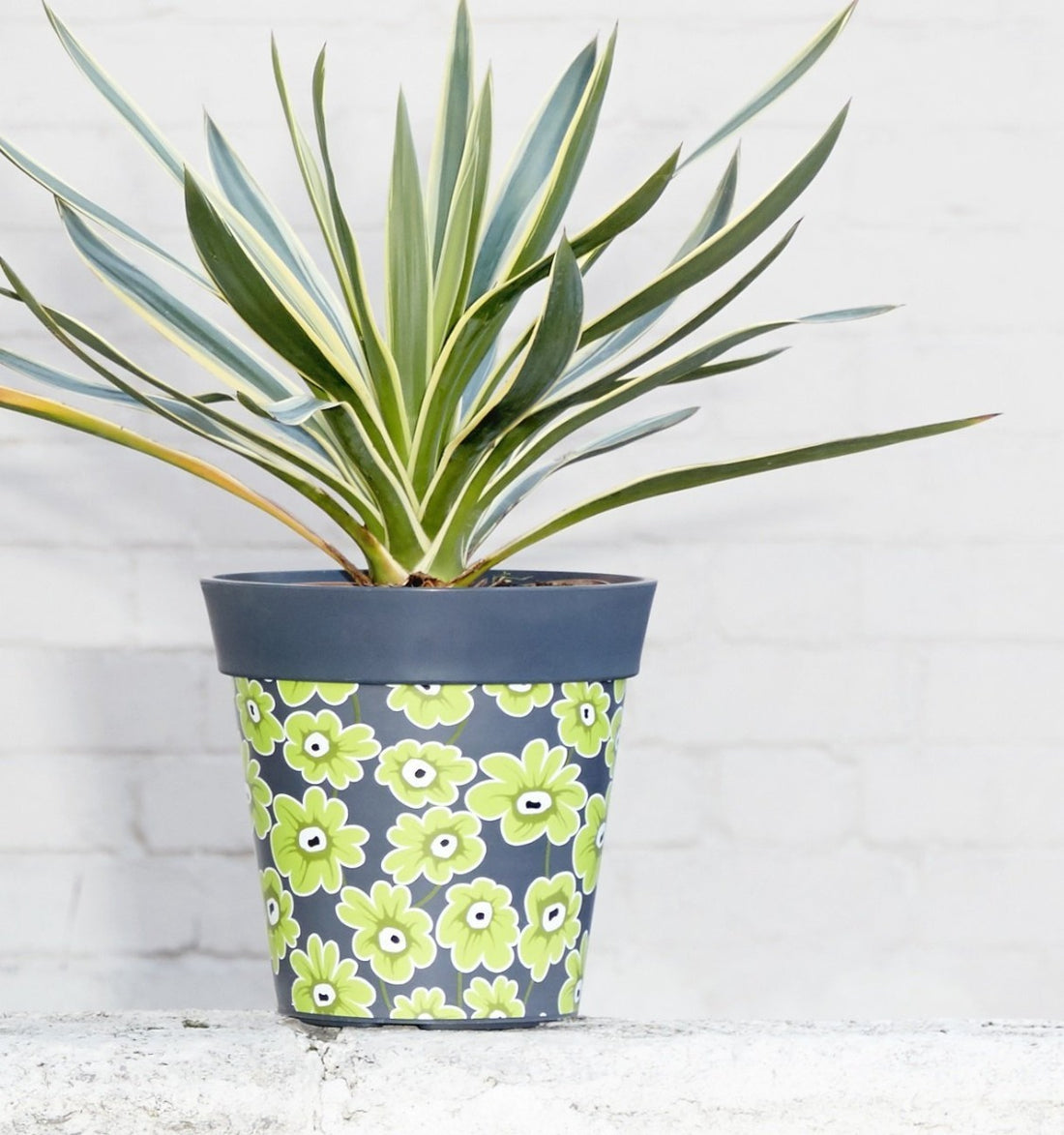 Geometric Decorative Pots( POT-HUM-001 )
