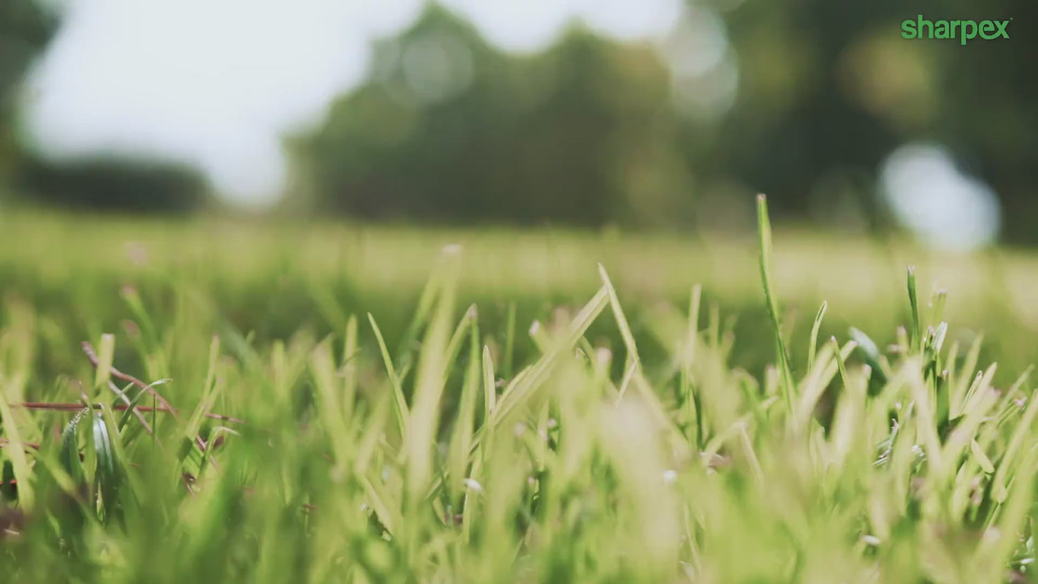 16" Electric Lawn Mower (SPX.16.ELL)