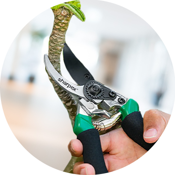 Sharpex - India's No. 1 Lawn Mowers, Gardening Tools, Garden Décor ...