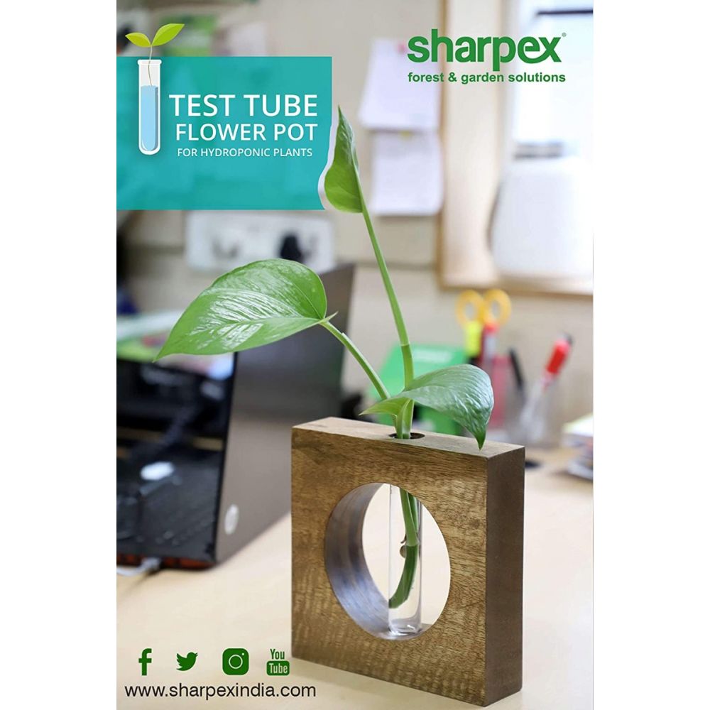 1 Test Tube Planter( ID-BR-002 )