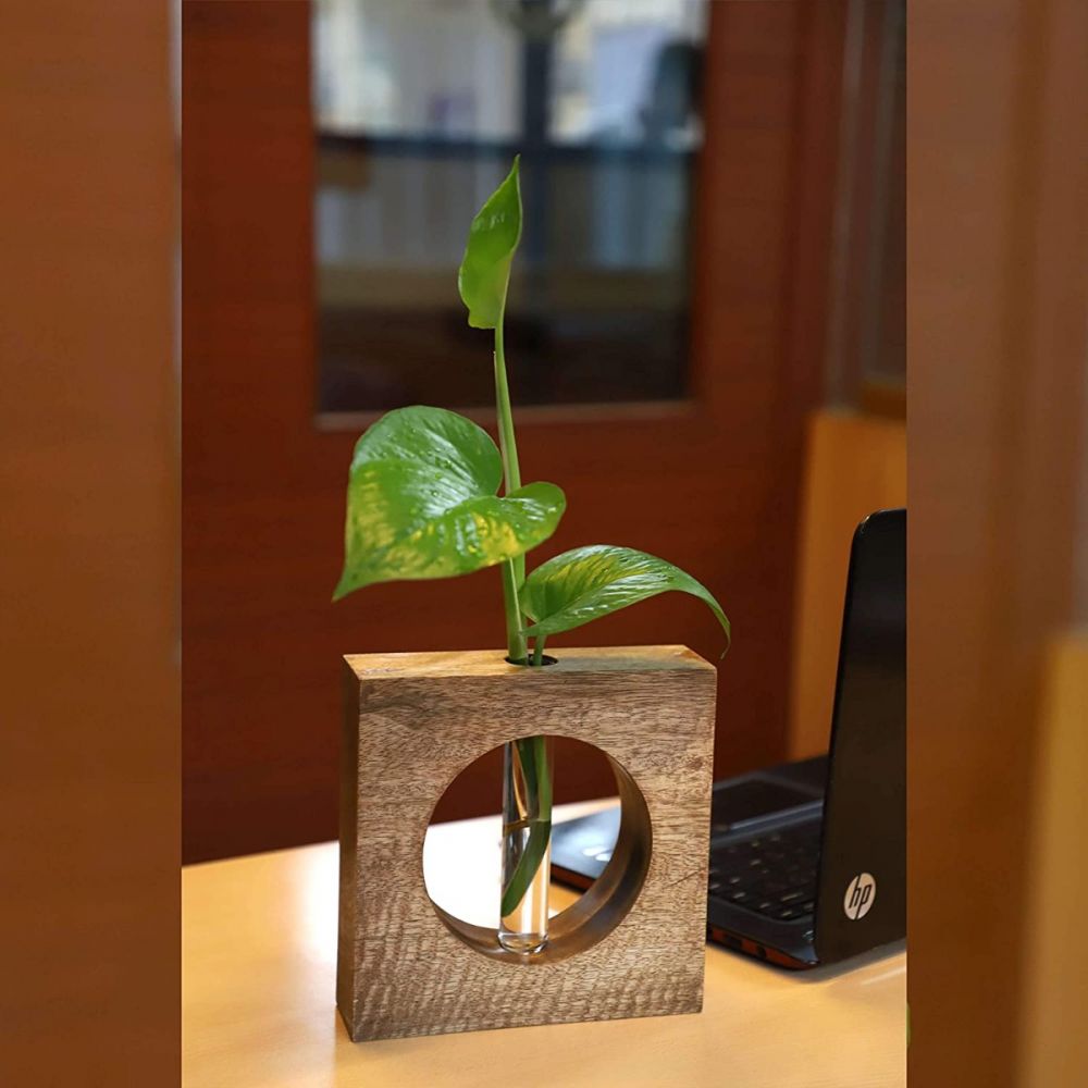 1 Test Tube Planter( ID-BR-002 )