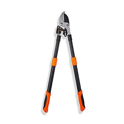 Sharpex Professional Ratchet Anvil Lopper with Compound Action, Sturdy Telescopic Handles with Extra Leverage, Garden Pruning Tree Hedge Branch Cutter Garden Lopper - Pruning Tool (Orange) (AL-OR-002)
