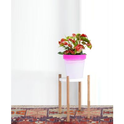 Traditional Flower Pot - Pink( POT-CL-C20-302 )