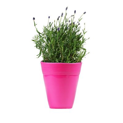 Ceramic Style Flower Pot - Pink( POT-DA-D14-150 )