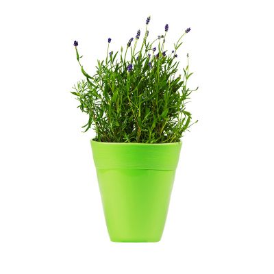 Ceramic Style Flower Pot - Green( POT-DA-D14-160 )