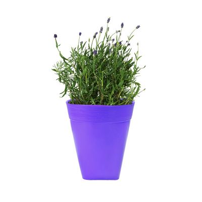 Ceramic Style Flower Pot - Violet( POT-DA-D14-420 )