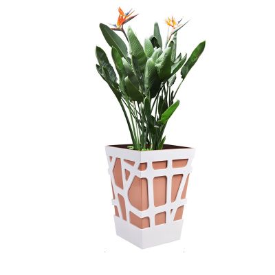 Self Watering Planters( POT-MS-Q17-607 )